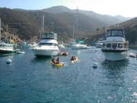 Catalina 571.JPG